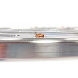 36" Flat Tail Billet Aluminum CNC Machined Longboard with Brass Rivets Skate Board Complete